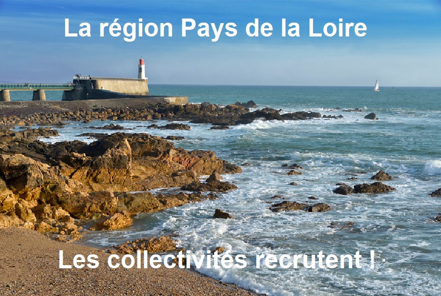 Les Offres D Emploi Des Collectivit S Des Pays De La Loire